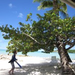 Artificial beach protection on Dickenson Bay